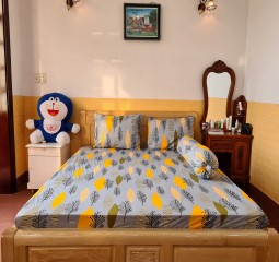 BỘ DRAP 100% COTTON LỤA CAO CẤP 4MÓN 1M6X2M HQ720