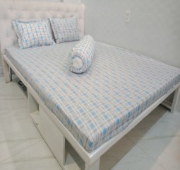 BỘ DRAP ÁO GỐI POLLY PL50