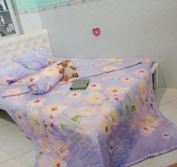 BỘ DRAP COTTON LOVIE 1M6-HQ201