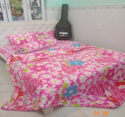 BỘ DRAP MỀN COTTON POLY PL22