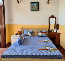 BỘ DRAP THUN HÀN QUÔC 1M6 TH408