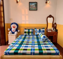 BỘ DRAP THUN HÀN QUÔC 1M6 TH433