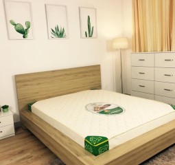 NỆM CAO SU NHÂN TAO LU1M2-12F