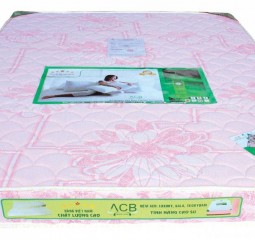 NẸM CAO SU TỔNG HỢP TECHFOAM - PRO 1M2-20F