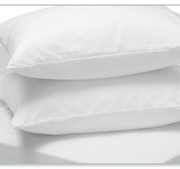 RUỘT GỐI NẰM 35X50CM